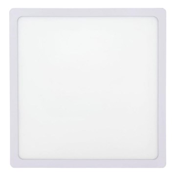 LED loftlampe LED/24W/230V 6500K 28x28 cm hvid