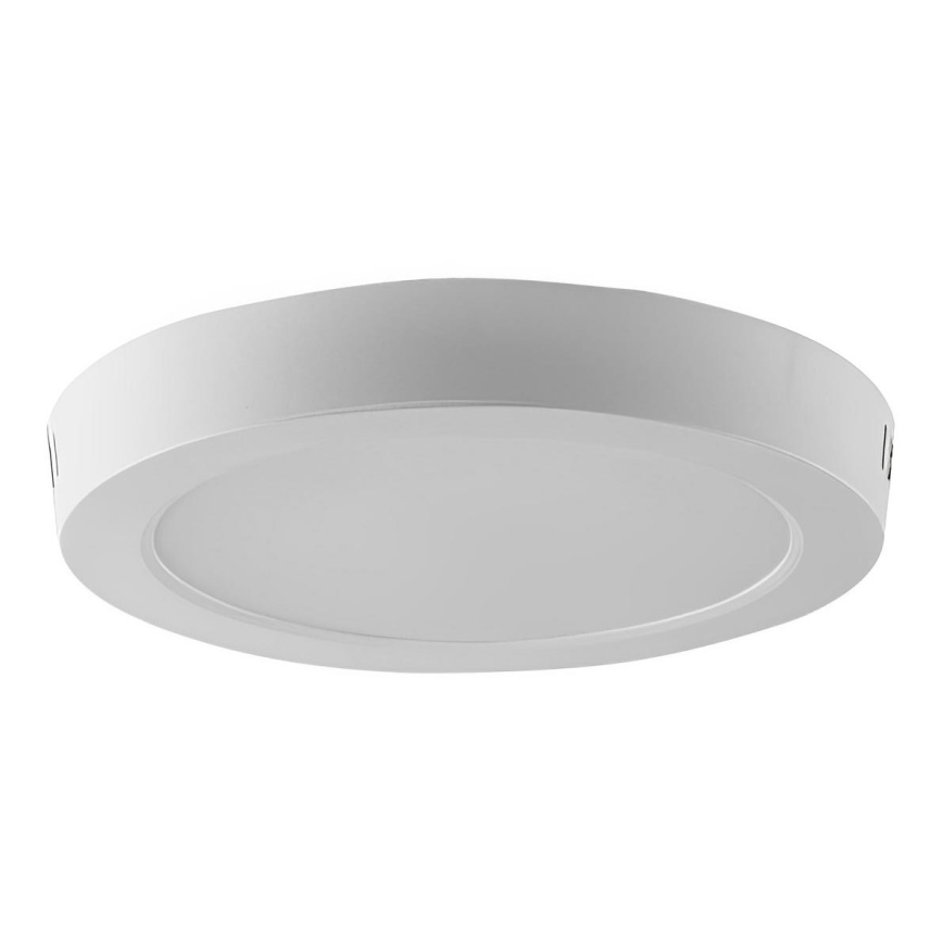 LED loftlampe LED/24W/230V 6500K diameter 28,8 cm