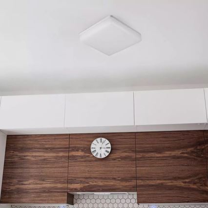 LED loftlampe LED/25W/230V 30x30 cm IP44
