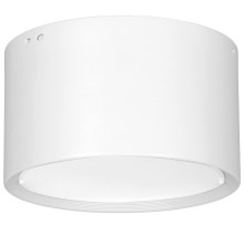 LED loftlampe LED/25W/230V hvid diameter 15 cm