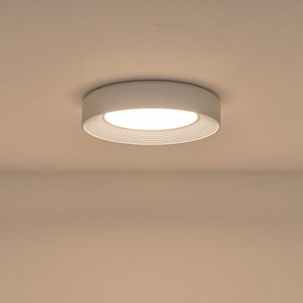 LED loftlampe LED/40W/230V 3000K hvid diameter 50 cm
