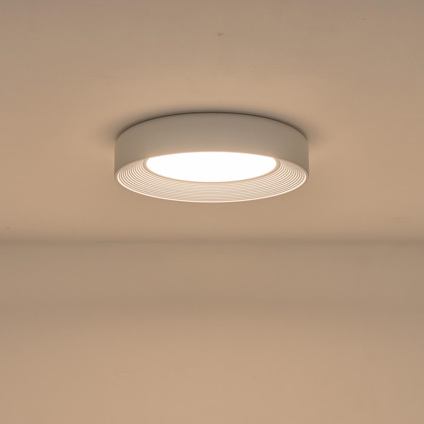 LED loftlampe LED/40W/230V 3000K hvid diameter 50 cm
