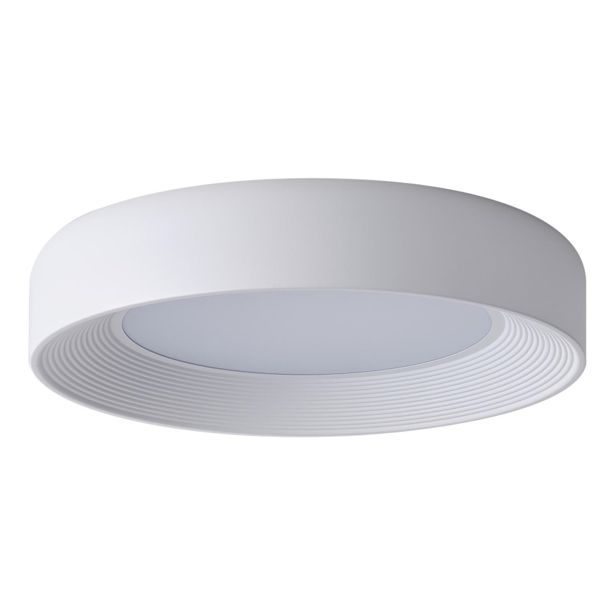 LED loftlampe LED/40W/230V 3000K hvid diameter 50 cm