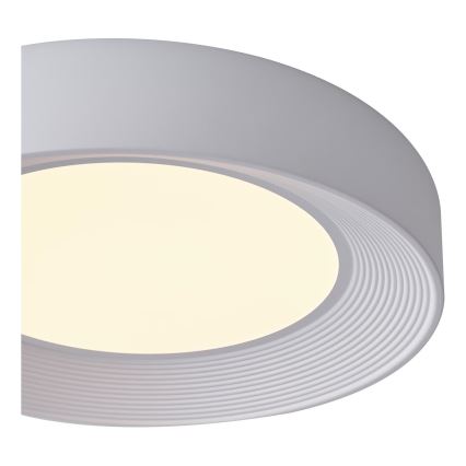 LED loftlampe LED/40W/230V 3000K hvid diameter 50 cm