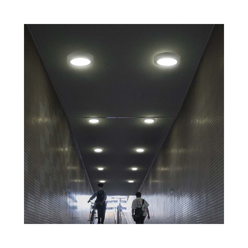 LED loftlampe LED/6W/230V 6500K hvid