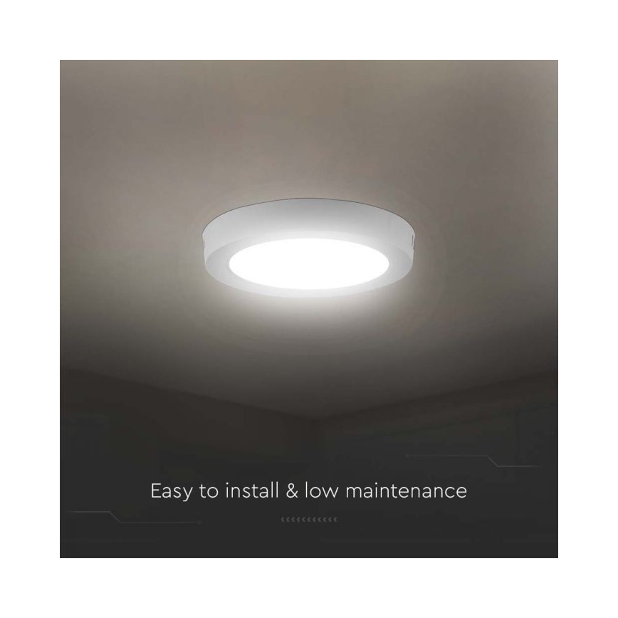 LED loftlampe LED/6W/230V 6500K hvid