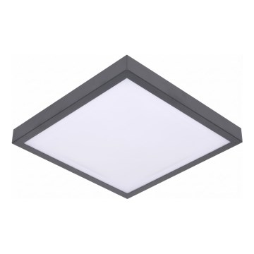 LED loftlampe med bevægelses- og skumringssensor VITALI LED/24W/230V 4000K 33x33 cm antracit