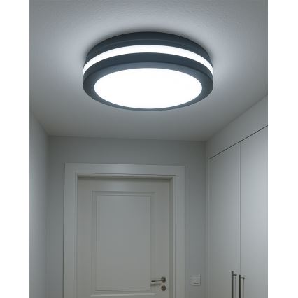 LED loftlampe med bevægelsessensor LED/20W/230V 3000/4000/6500K Ø 230 cm IP54 antracit