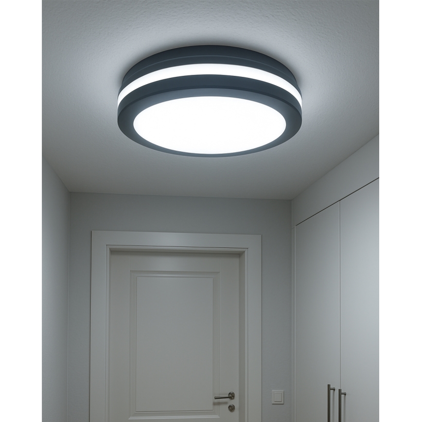 LED loftlampe med bevægelsessensor LED/20W/230V 3000/4000/6500K Ø 230 cm IP54 antracit