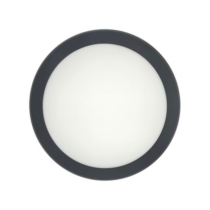 LED loftlampe med bevægelsessensor LED/20W/230V 3000/4000/6500K Ø 230 cm IP54 antracit