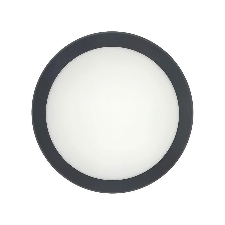 LED loftlampe med bevægelsessensor LED/20W/230V 3000/4000/6500K Ø 230 cm IP54 antracit