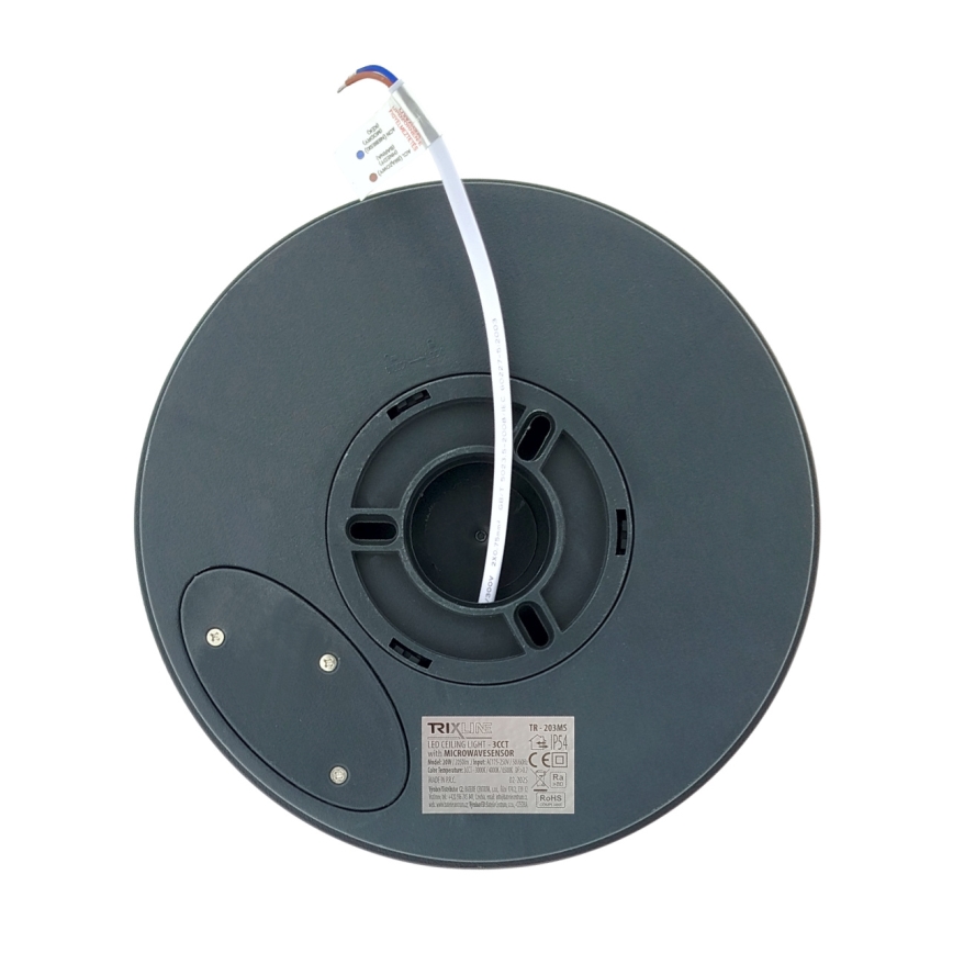 LED loftlampe med bevægelsessensor LED/20W/230V 3000/4000/6500K Ø 230 cm IP54 antracit