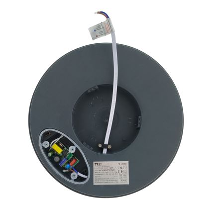 LED loftlampe med bevægelsessensor LED/20W/230V 3000/4000/6500K Ø 230 cm IP54 antracit
