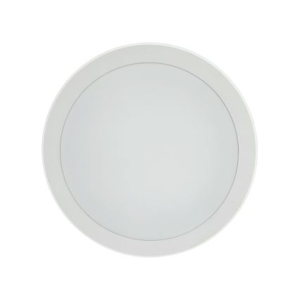 LED-loftlampe med bevægelsessensor LED/20W/230V 3000/4000/6500K Ø 230 cm IP54 grå
