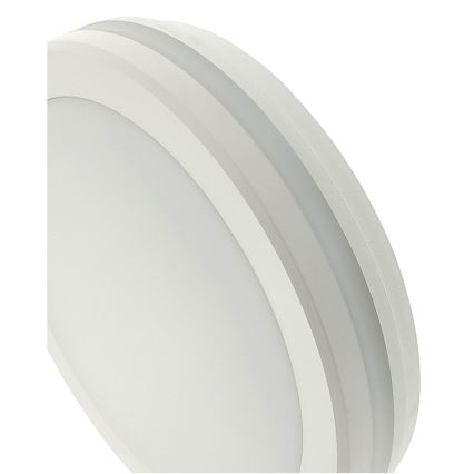LED-loftlampe med bevægelsessensor LED/20W/230V 3000/4000/6500K Ø 230 cm IP54 grå