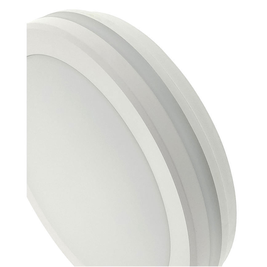 LED-loftlampe med bevægelsessensor LED/20W/230V 3000/4000/6500K Ø 230 cm IP54 grå