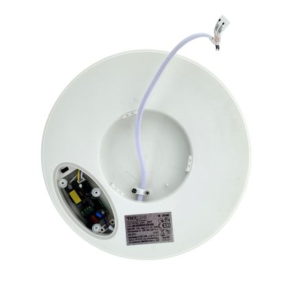 LED-loftlampe med bevægelsessensor LED/20W/230V 3000/4000/6500K Ø 230 cm IP54 grå