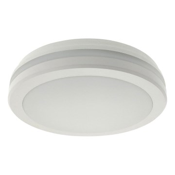 LED-loftlampe med bevægelsessensor LED/20W/230V 3000/4000/6500K Ø 230 cm IP54 grå