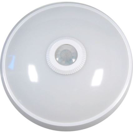 LED loftlampe med sensor LED/12W/230V