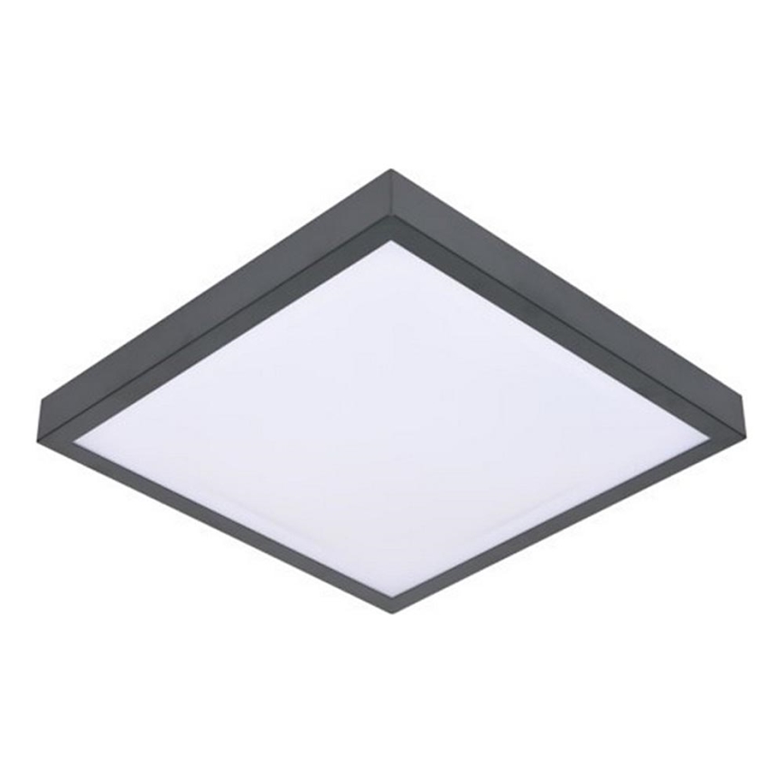LED loftlampe med sensor VITALI LED/24W/230V 4000K