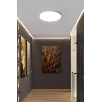 LED loftlampe med skumrings- og bevægelsessensor MORETTI LED/24W/230V Ø 30 cm IP40 6500K