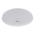 LED loftlampe med skumrings- og bevægelsessensor MORETTI LED/24W/230V Ø 30 cm IP40 6500K