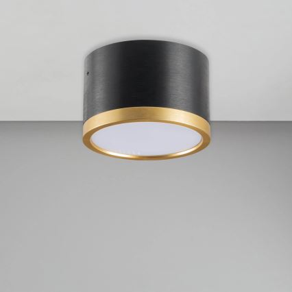 LED loftlampe MIRELLA 1xGX53/6W/230V sort/guldfarvet