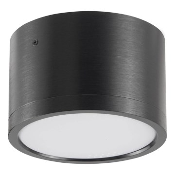 LED loftlampe MIRELLA 1xGX53/6W/230V sort