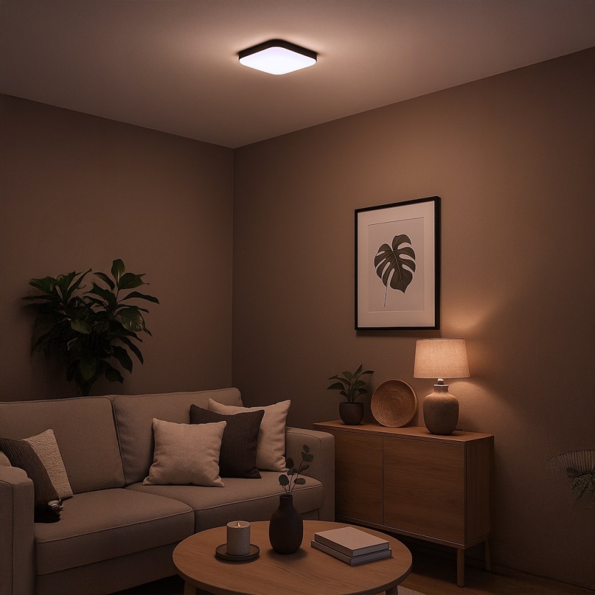 LED-loftlampe NEMO LED/11W/230V 26 x 26 cm sort