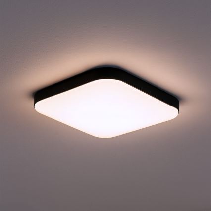 LED-loftlampe NEMO LED/11W/230V 26 x 26 cm sort