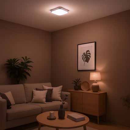 LED loftlampe NEMO LED/11W/230V 26x26 cm blank krom