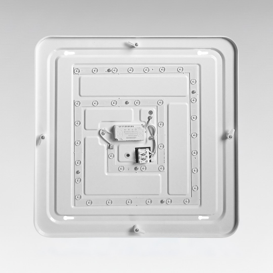 LED loftlampe NEMO LED/36W/230V 50x50 cm blank krom