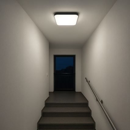 LED loftlampe NEMO LED/36W/230V 50x50 cm sort