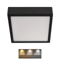LED loftlampe NEXXO LED/12,5W/230V 3000/3500/4000K 17x17 cm sort