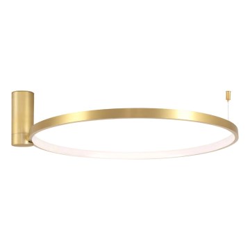LED loftlampe NOEMI LED/20W/230V 4000K diameter 50 cm guldfarvet