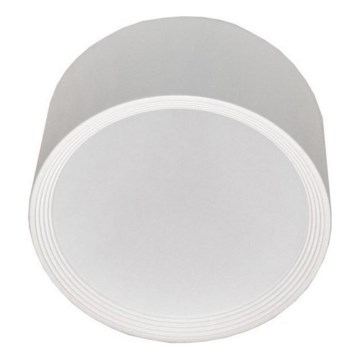 LED loftlampe PERCI LED/30W/230V IP40 4000K hvid