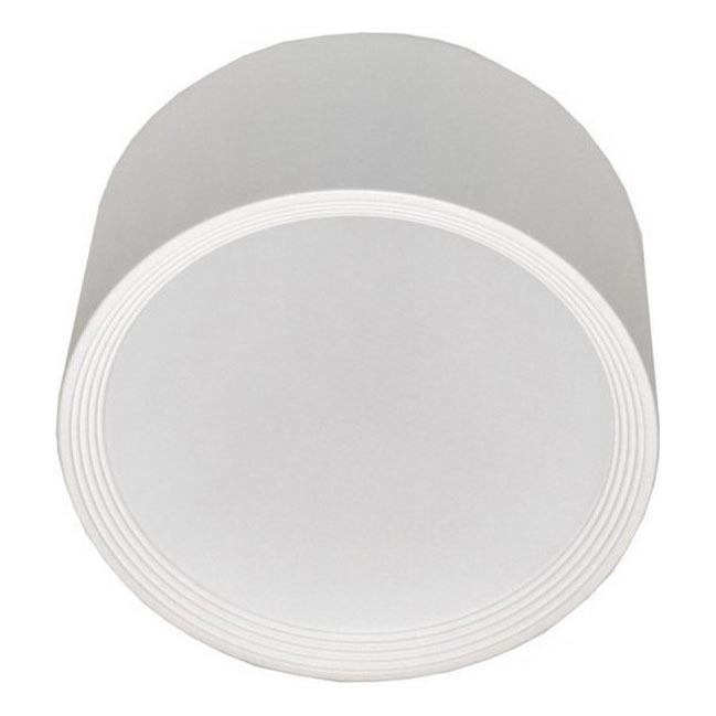 LED loftlampe PERCI LED/30W/230V IP40 4000K hvid