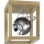 LED loftlampe ROY 1xGU10/5W/230V mat eg