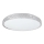 LED loftlampe SHINY LED/34W/230V transparent