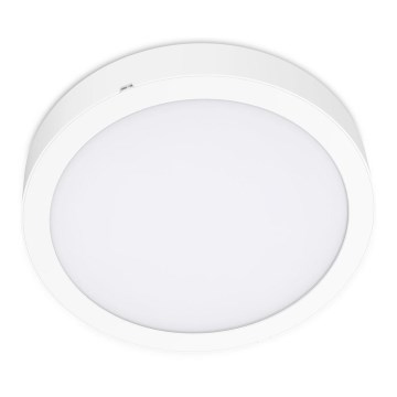 LED loftlampe SIGARO CIRCLE LED/24W/230V 4000K IP40