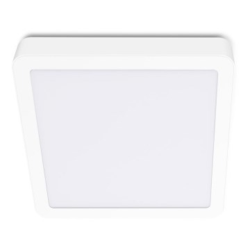 LED loftlampe SIGARO SQUARE LED/18W/230V 4000K IP40