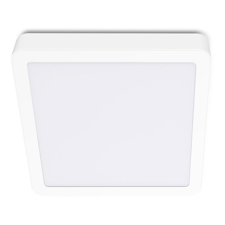 LED loftlampe SIGARO SQUARE LED/24W/230V 4000K IP40