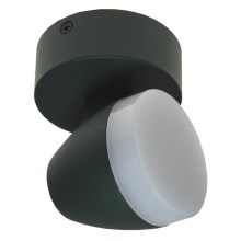 LED loftlampe SURMUR LED/6W/230V grøn