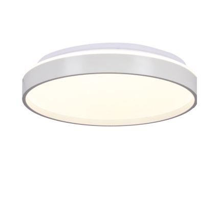 LED loftlampe TEXAS LED/15W/230V hvid