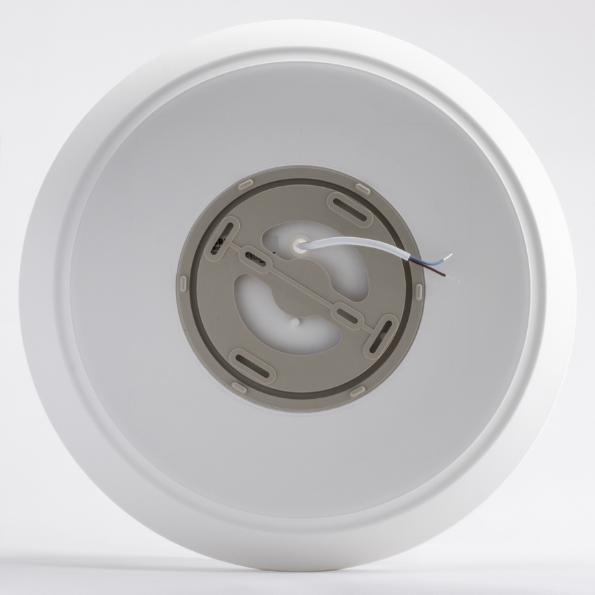 LED loftlampe til badeværelse AVESTA LED/28W/230V 4000K IP54