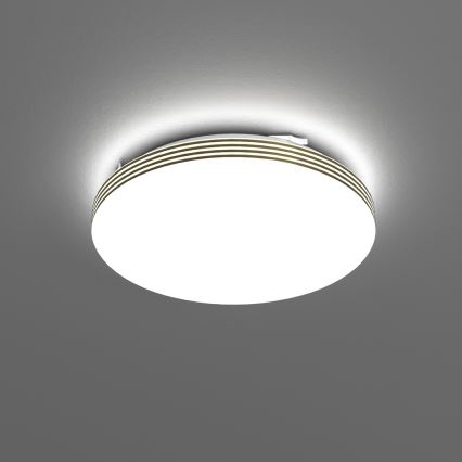 LED loftlampe til badeværelse BEVER LED/10W/230V 4000K diameter 26 cm IP44