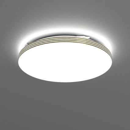 LED loftlampe til badeværelse BEVER LED/16W/230V 4000K diameter 33 cm IP44