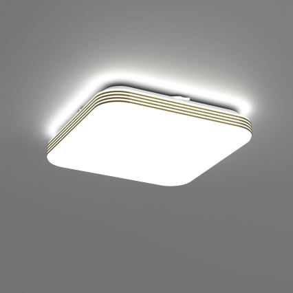 LED loftlampe til badeværelse DABAR LED/11W/230V 4000K 26x26 cm IP44