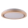 LED loftlampe til badeværelse DAREK LED/24W/230V diameter 39 cm IP44 eg