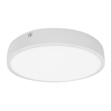 LED loftlampe til badeværelse EGON LED/30W/230V IP44 3000K